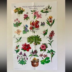 1980’s Vintage Smokey the Bear Wildfire Campaign Floral Poster